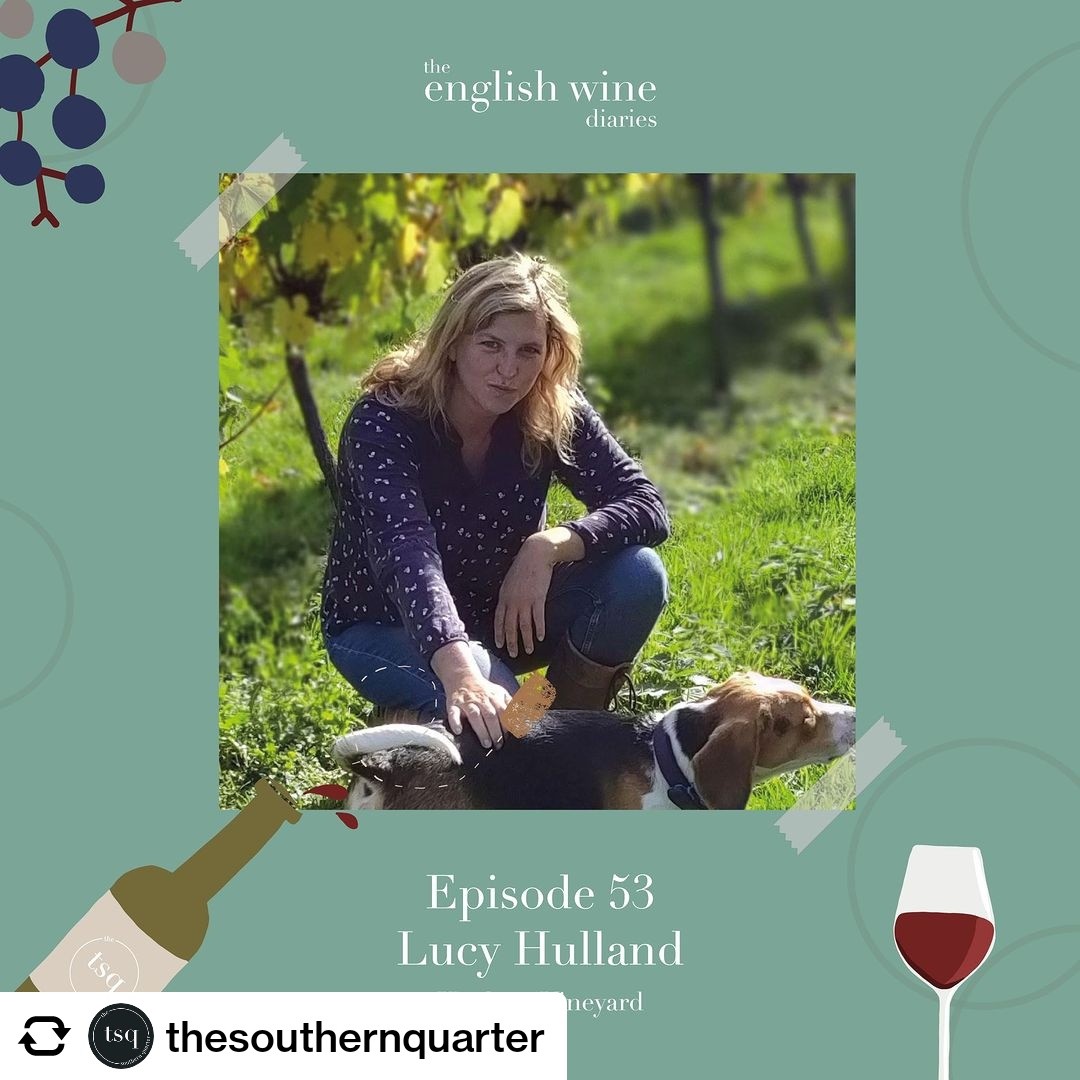 Catch me on this wk's English Wine Diaries talking all things #huxbear 🍾
podcasts.apple.com/gb/podcast/the…
#devonwine #englishvineyard #engishsparklingwine #sustainablewine #sustainableenglishwine #winepodcast #englishwinepodcast
@fooddrinkdevon @thesouthernquarter
@wickhamwine