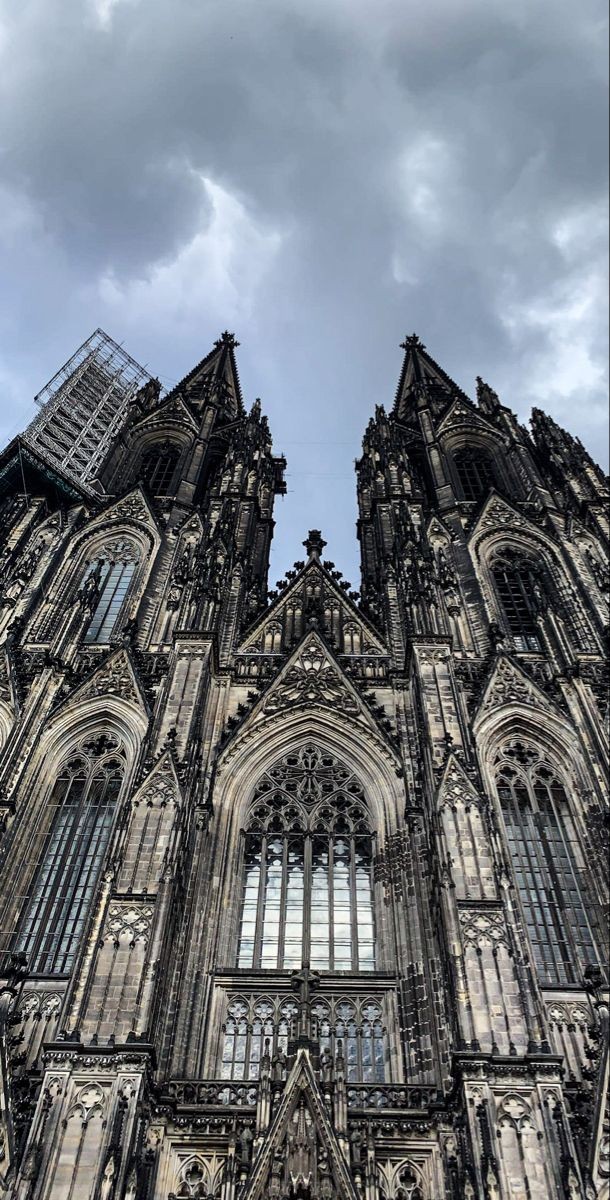 »»»»»» tweet media