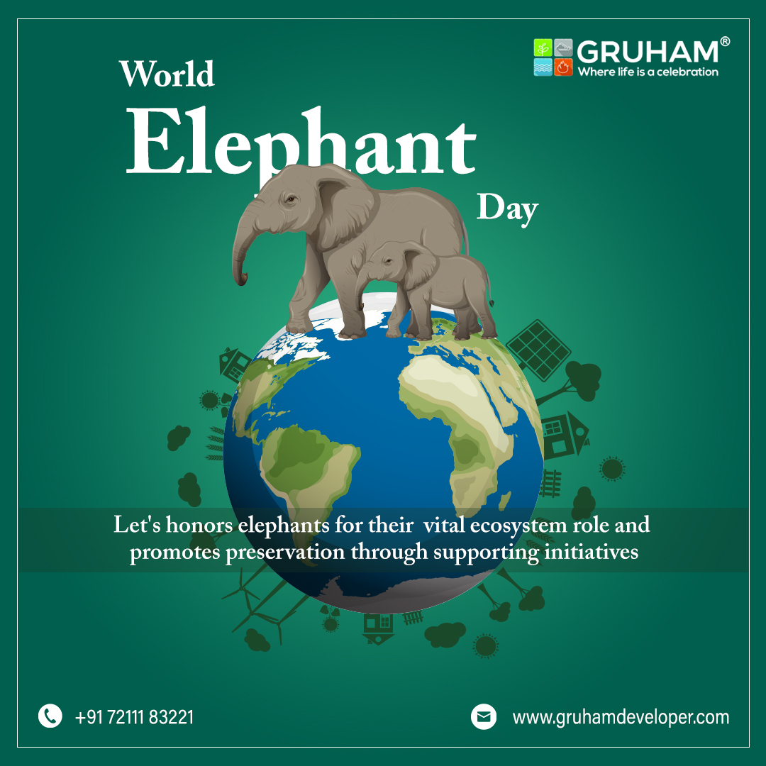 Celebrate World Elephant Day with us as we honor these majestic giants and raise awareness for their conservation.

Visit our Website: gruhamdevelopers.com

#GruhamDevelopers #Gruham #worldelephantday #savetheelephants #elephantconservation #endpoaching #protectelephants