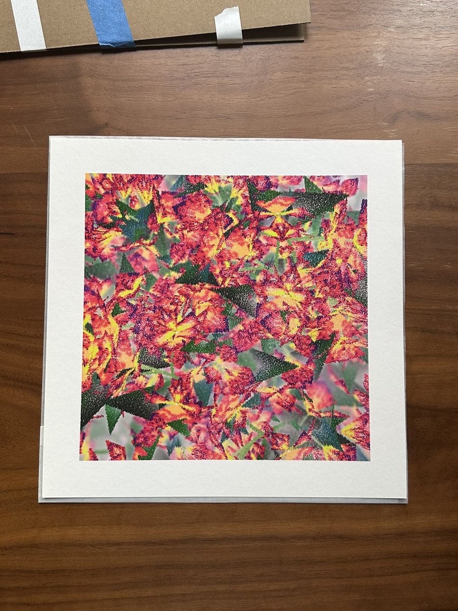 Can’t get over how beautiful <a href="/snellicious_/">Ben Snell</a>’s Cattleya prints are. 

If you’ve collected one of these on <a href="/artblocks_io/">Art Blocks</a> I highly recommend considering a print. Look forward to framing and will share pics once ready. 

I’m in an orchid rabbit hole (Cattleya is a genus of orchids)😅