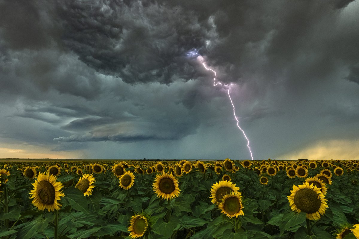 Aaron Jayjack tweet media