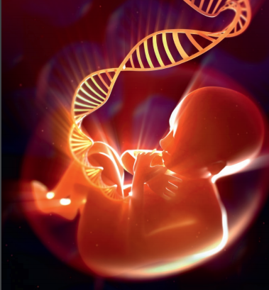hug_ge's tweet photo. Genatest® est proposé dès la 10e semaine de grossesse pour le dépistage de la #trisomie 13, 18, 21 du fœtus. Réalisé à partir d’une simple prise de sang chez la femme enceinte, il ne présente aucun danger pour l’enfant à naître #Genatest #DPNI #grossesse https://t.co/NY1zJNgfIp https://t.co/jT2Xi1R3yt