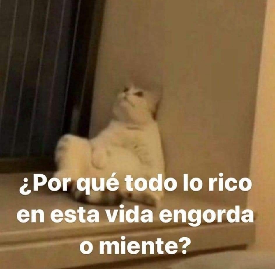 uncafeconletras's tweet image. ?