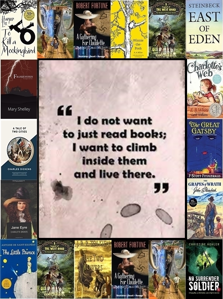 THINGS SAID ABOUT BOOKS, WRITERS OR WRITING (4)
#booklover