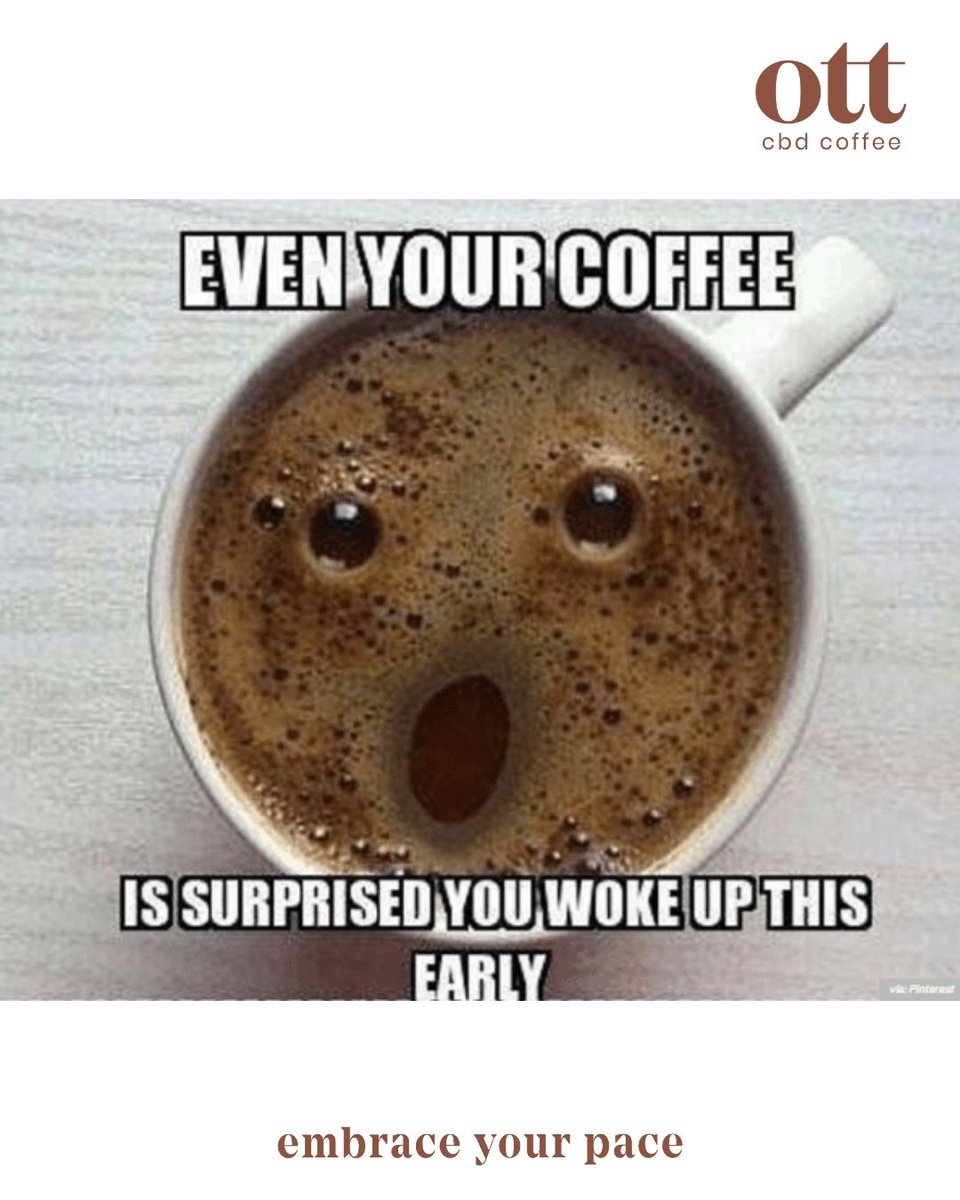 ott_coffee's tweet photo. ☕️🤯 Rise &amp; shine! Even your coffee's shocked you're up this early! Embrace your pace with OTT Hemp-Infused Coffee 😴💥 #OTTcoffee #EmbraceYourPace https://t.co/mQACwhI7lp