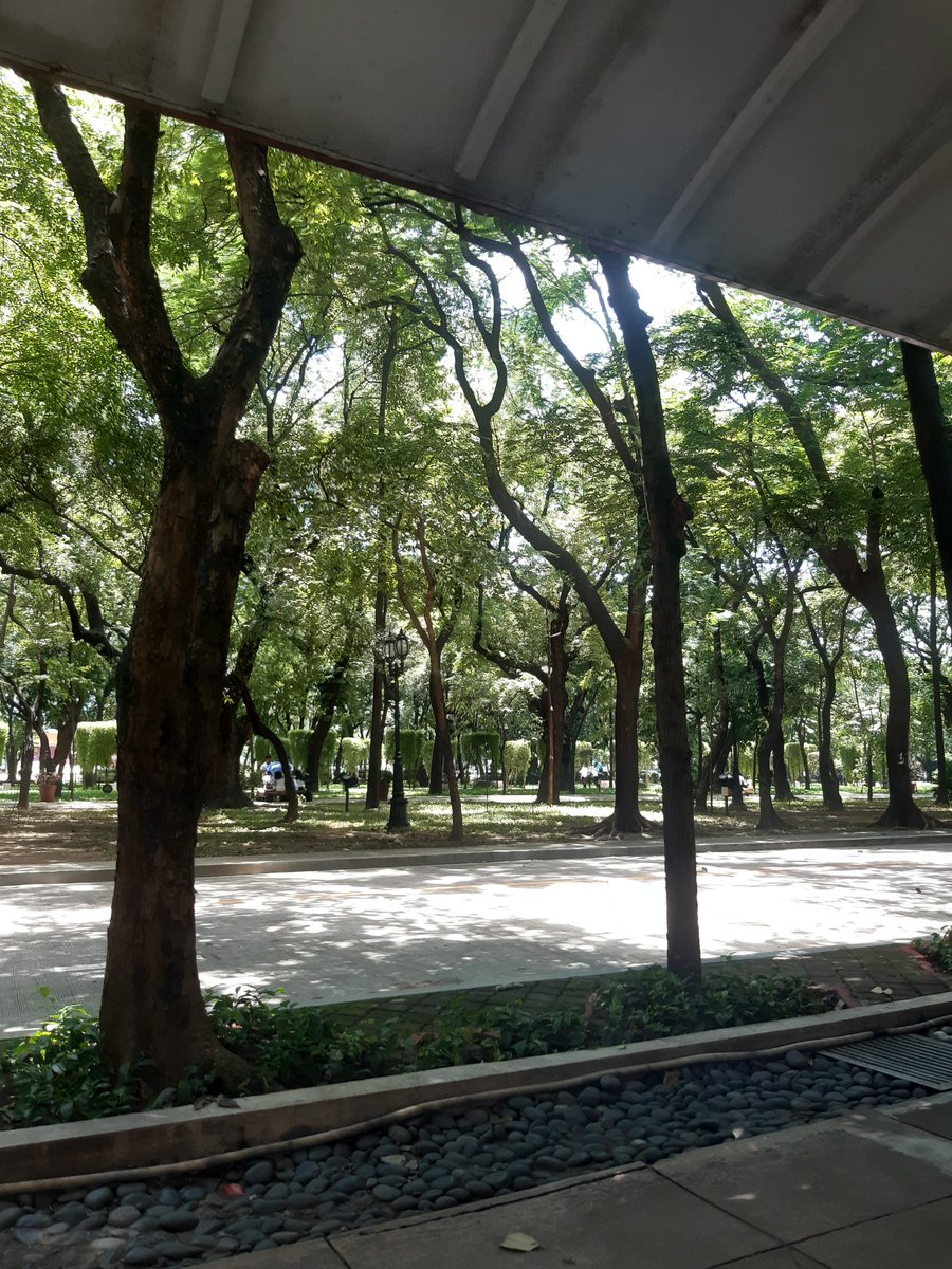 𝖼𝗁𝖺𝗂 🧪 tweet media