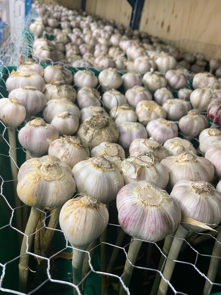 The Local CFC tweet media