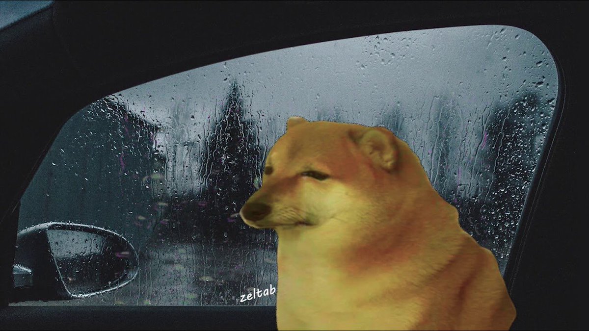 NetolickyYolon2's tweet photo. @LordCheems_ go out for relax but it's raining https://t.co/XINss5eW82