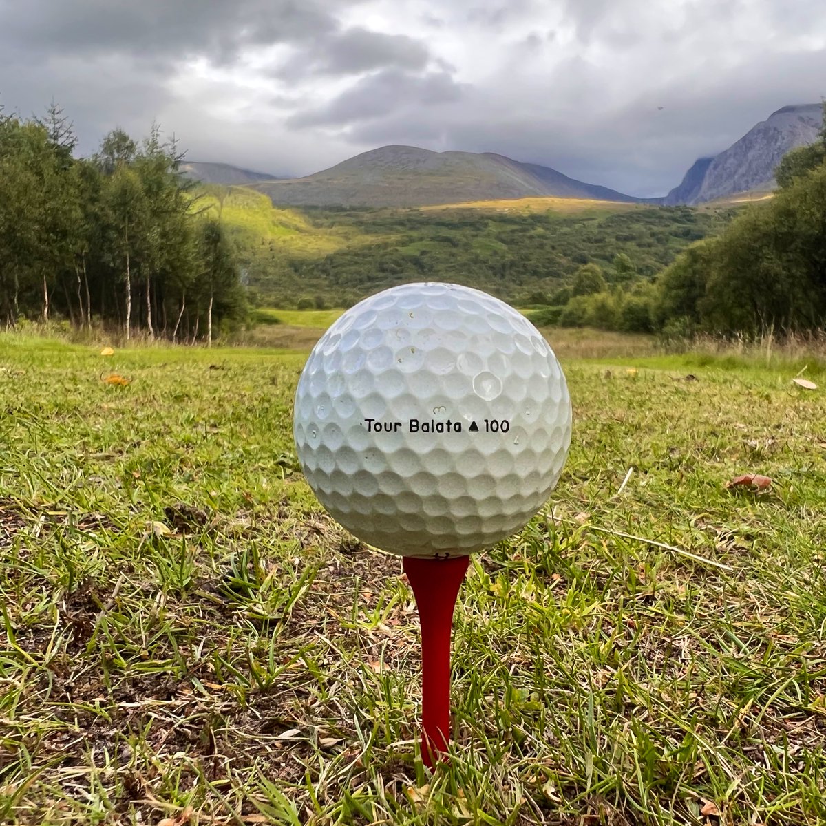 Peter Finch tweet media