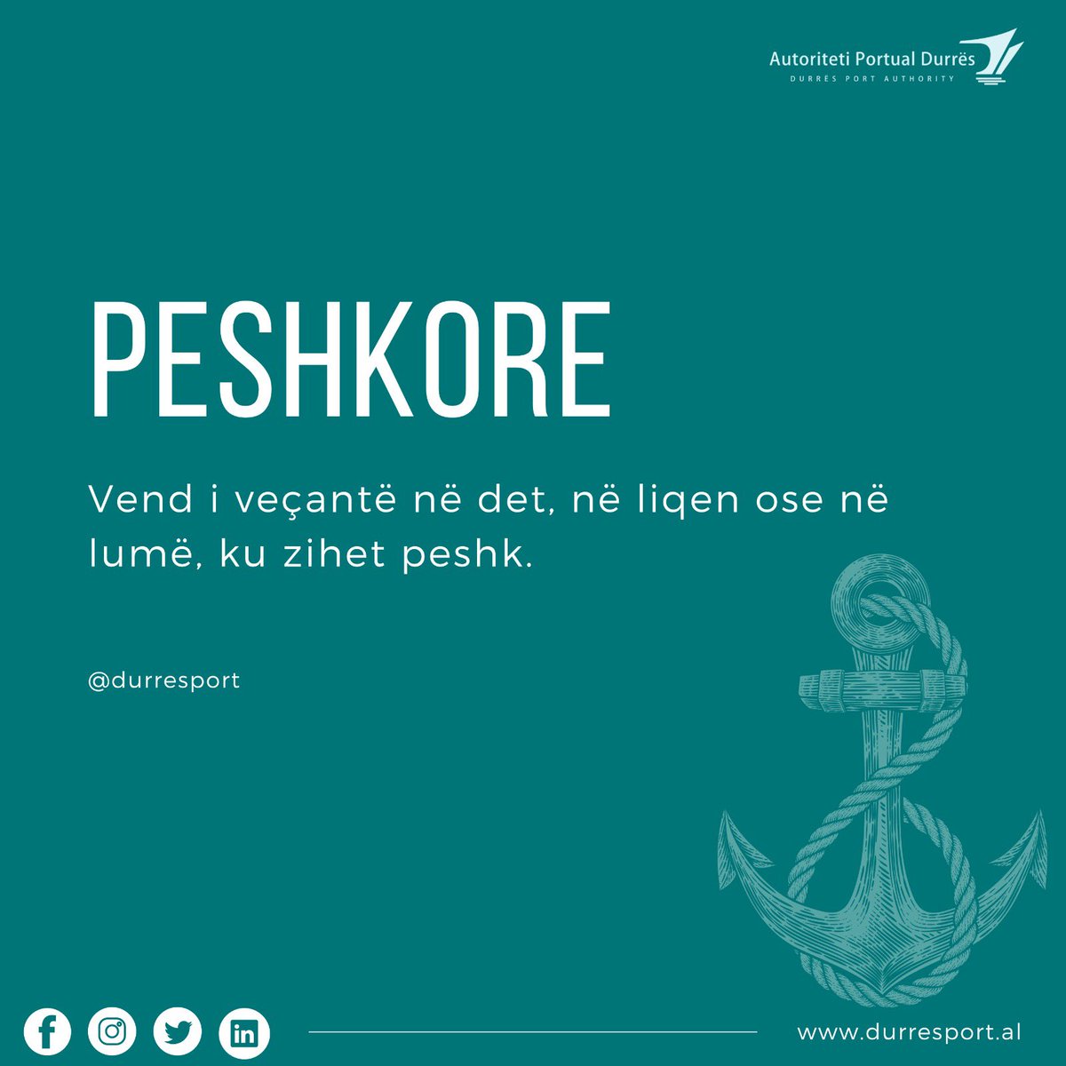DurresPort's tweet photo. 📚 Fjalori i detarisë⚓️

Peshkór/e,ja, term i përdorur në gjuhën detare, i cili i referohet një vendi të posaçëm në det a liqen ku zihet peshk apo një pellgu për kultivimin dhe gjuetinë e peshkut.
psh: Peshkore artificiale.

#DetariaShqip🇦🇱⚓️📚 #enciklopedi #fjalorthi #detari https://t.co/dehVZF220v