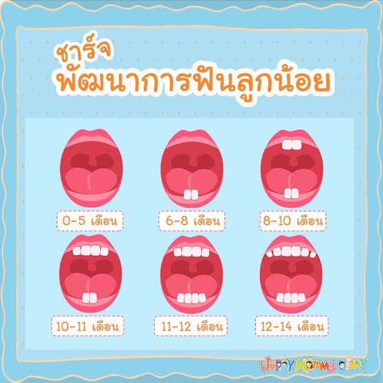 ชเวพัคจี ༘♡ tweet media
