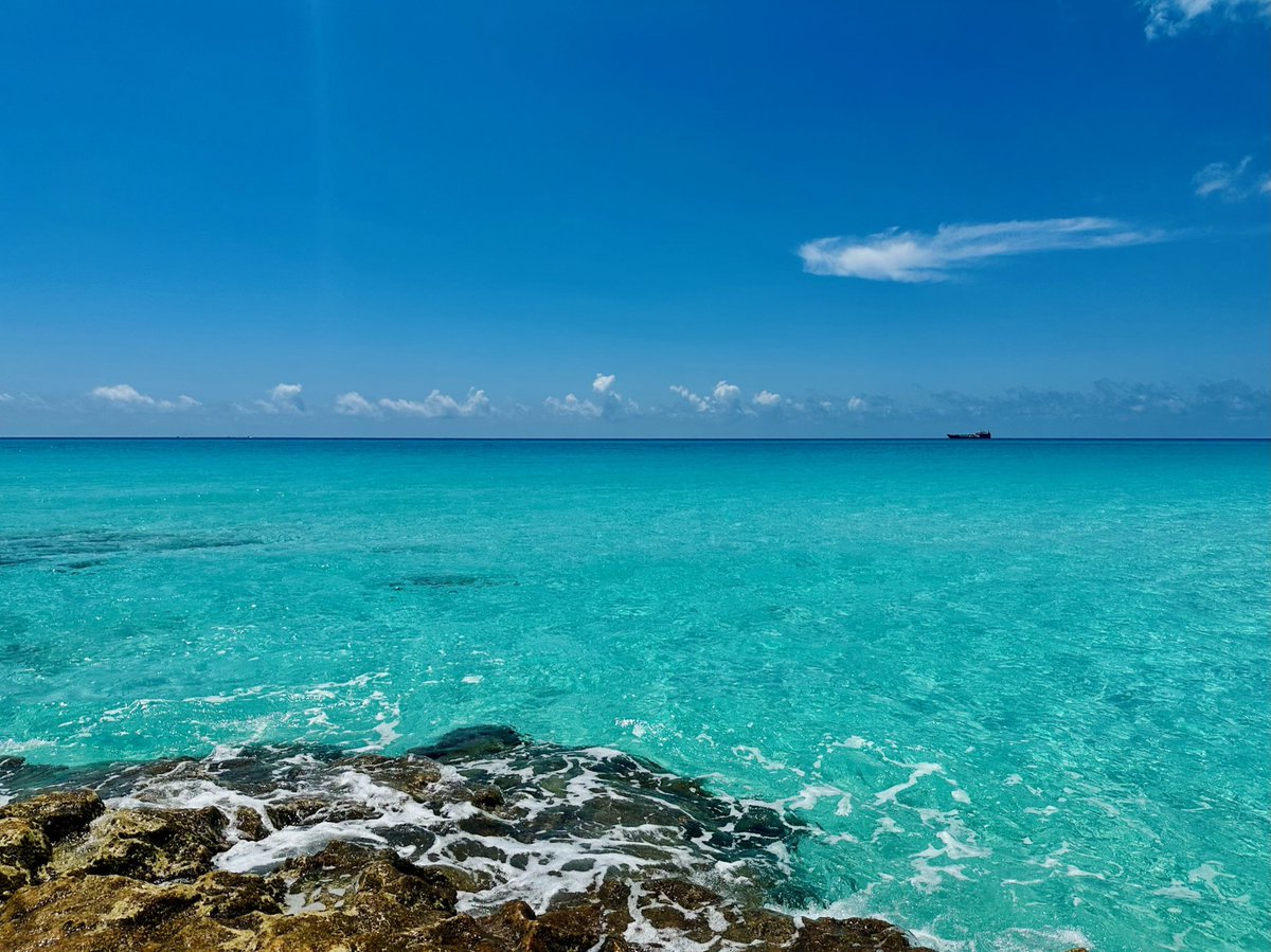 Bimini Scheduled by-the-seat service flights now available through Spring 2024! Why wait to book your spring travel when you can have that peace of mind knowing these stunning blue waters are waiting for your arrival. 

#flytropic #elevateyourtravel