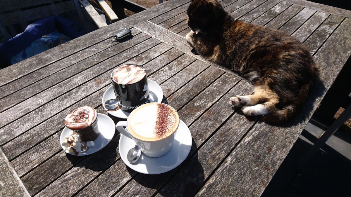 KuCoin_de tweet media