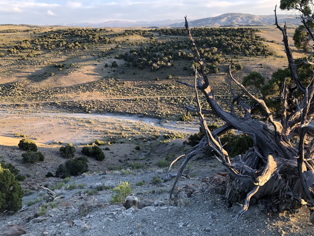 Utah fieldwork with students, can you find them? ⁦@botanistpaige⁩
