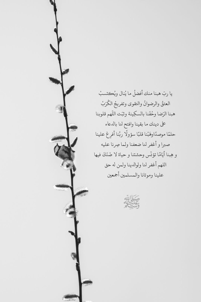 bntshekh33's tweet photo. #يوم_Iلجمعه
اللهم صل وسلم على نبينا محمد https://t.co/7y2SkkkK0D