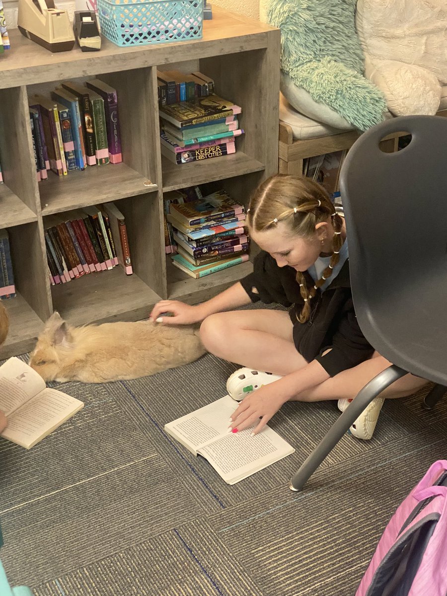 Reading with Mr. Brown in Block 1 today…