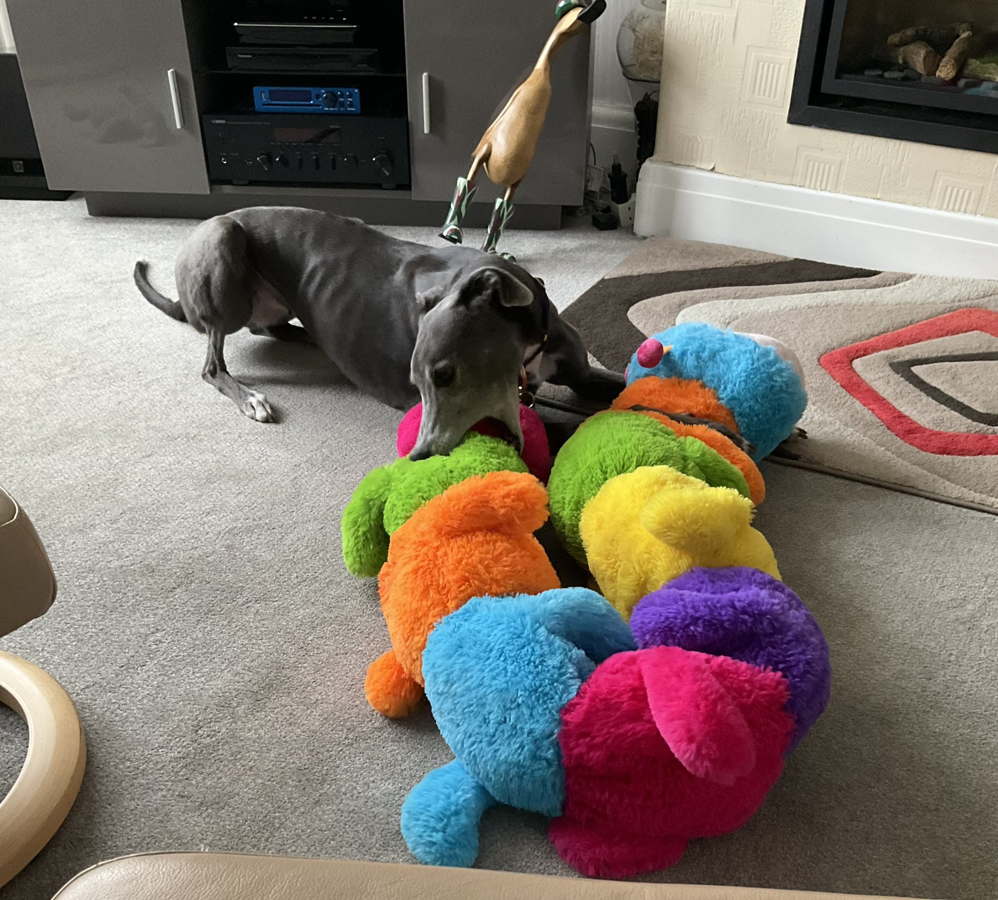 Greyhound caterpillar toy 2025