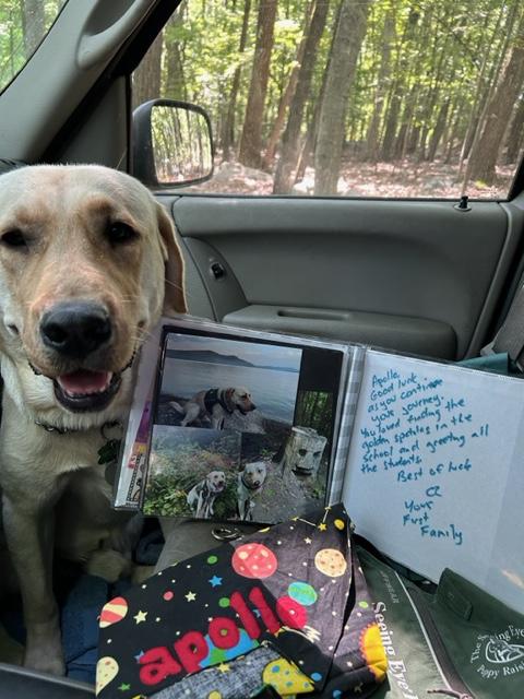 MontvilleTwpSch's tweet photo. NEW BEGINNINGS! #CedarHill' The @SeeingEyeInc Dog, Apollo,moved on in his training. Nurse Bonnie Lee DiCola dropped him off at TSE prepared to complete his studies.Apollo took his @CHES_Bulldogs scrapbook to share with his person. "#GuideOn &change someone's life!"
@drtagorman https://t.co/bisdIBB9Jp