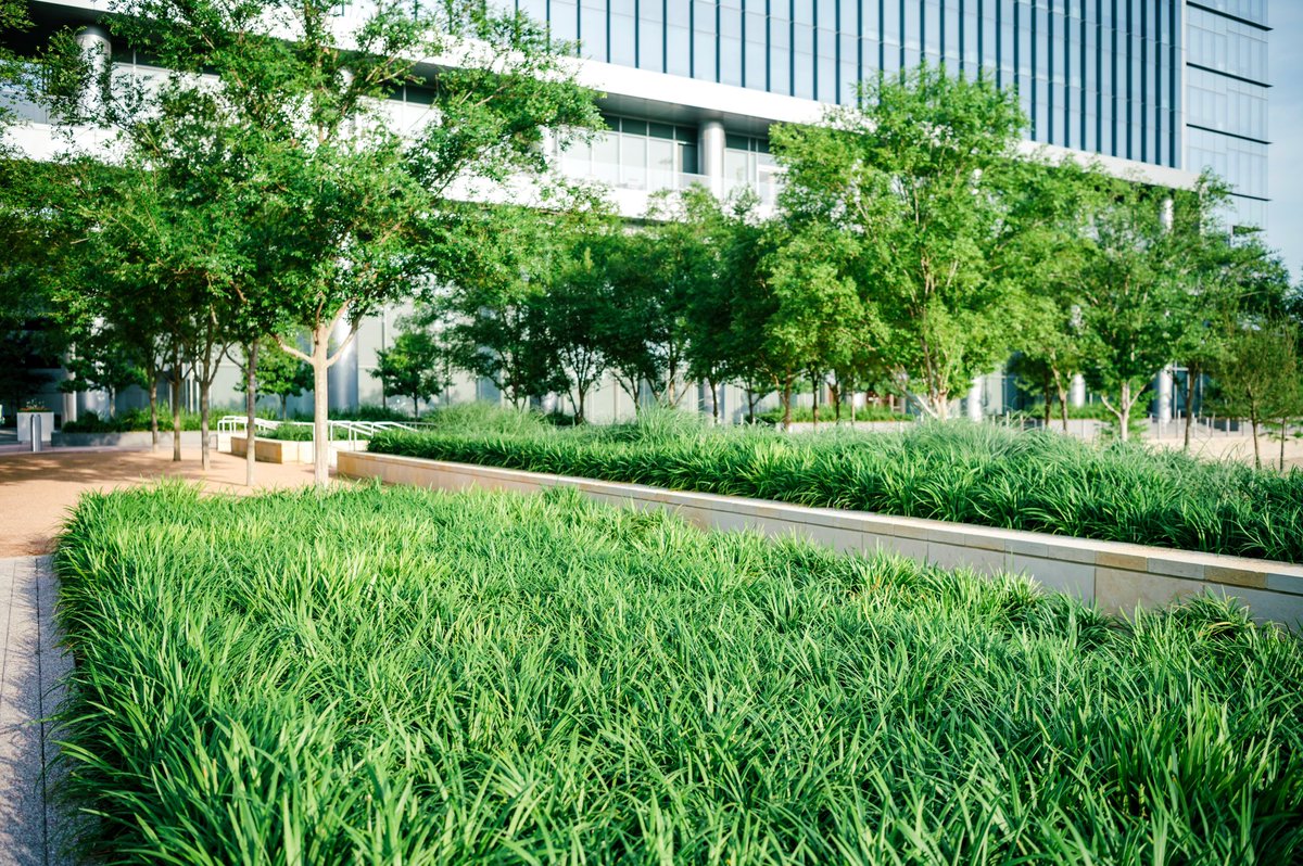 Silversandsvc's tweet photo. This commercial campus sure is looking GREAT and GREEN in the heat of summer. https://t.co/gkD0ut0EmS