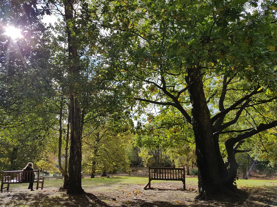 LeaderofBirmingham tweet media