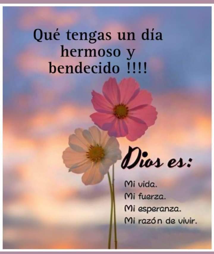 Buenos días, Feliz y Bendecido Viernes amigos......
#11ago
#LaPazEsClave
@freddyp44055243 @MiAngel01552570 @manuel73053076 @PascualinoFull @AboDCausaJusta @almarevolucion1 @Eduar2424f @cluiscel @Guzmanz2201 @Cptn_Fandango 
@luibustilloso @Blixar_Edits