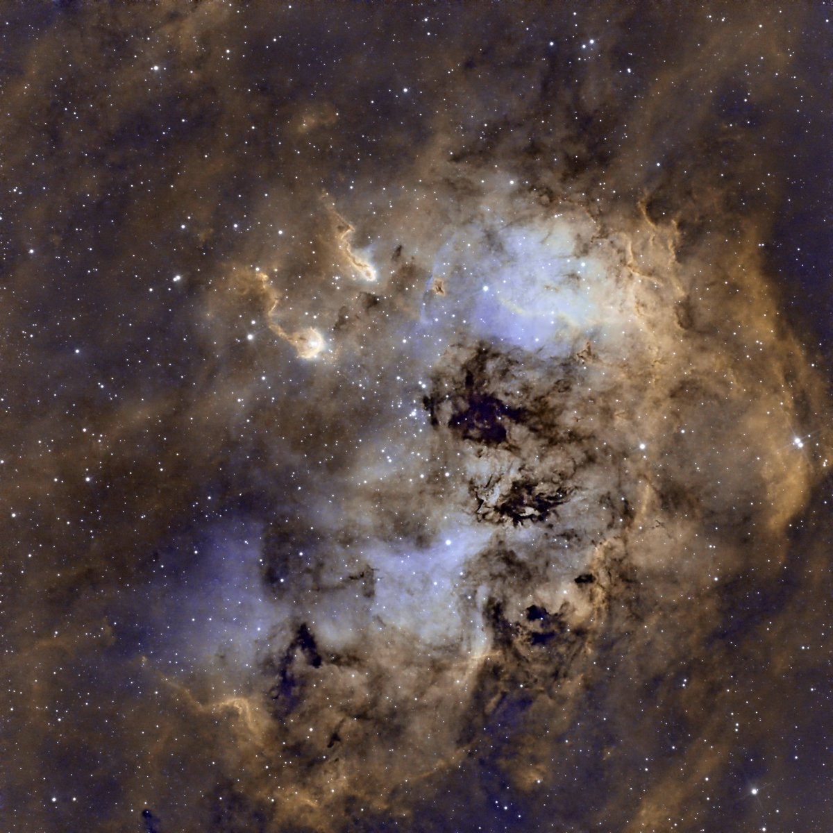 A reprocess of some old data from this year.

The Tadpoles nebula and I wanted to see if I could retain some detail around the star forming region of this amazing object. #nebula #astro #nightskyphotography