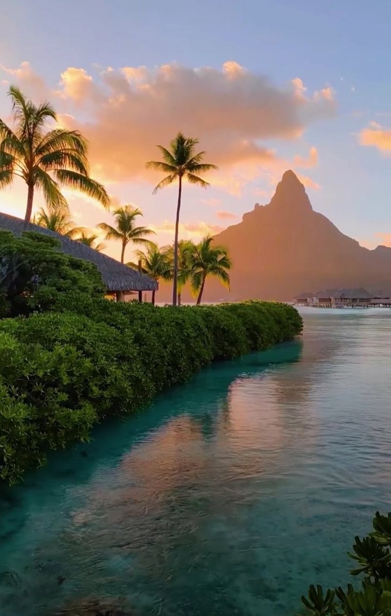 viewsoff's tweet photo. Paradise in Bora Bora. https://t.co/yjDxyvLAIj