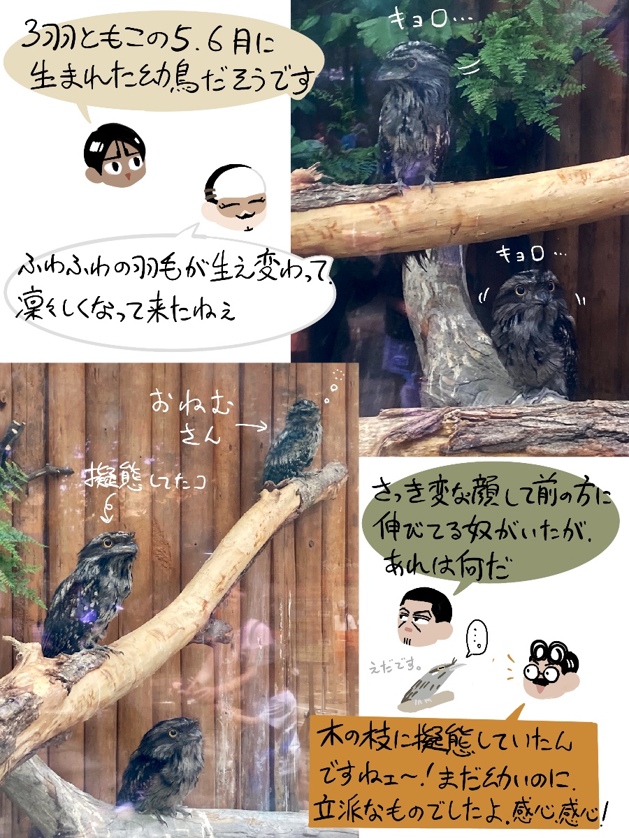 神戸どうぶつ王国レポその1