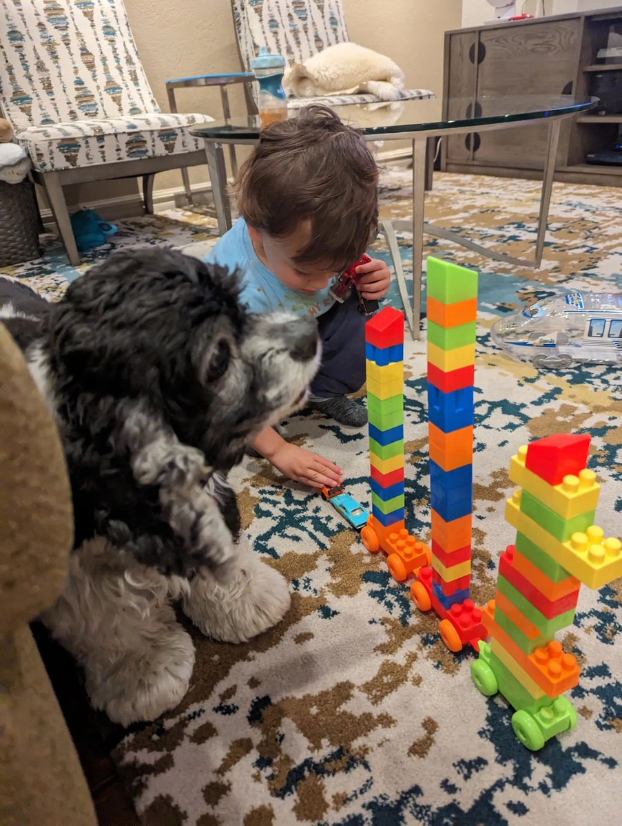 ReneeCARealtor's tweet photo. Jasmine is helping our future home architect and home builder, just as I want to help you find your perfect home in SoCal. #ReneeSerkinLeshner #ColdwellBankerRealtor #Realtor #CalabasasRealEstate #Calabasas #ThousandOaksCA #ThousandOaksRealty #SoCalHomes #WestLA #LARealty https://t.co/44whhZRoVp