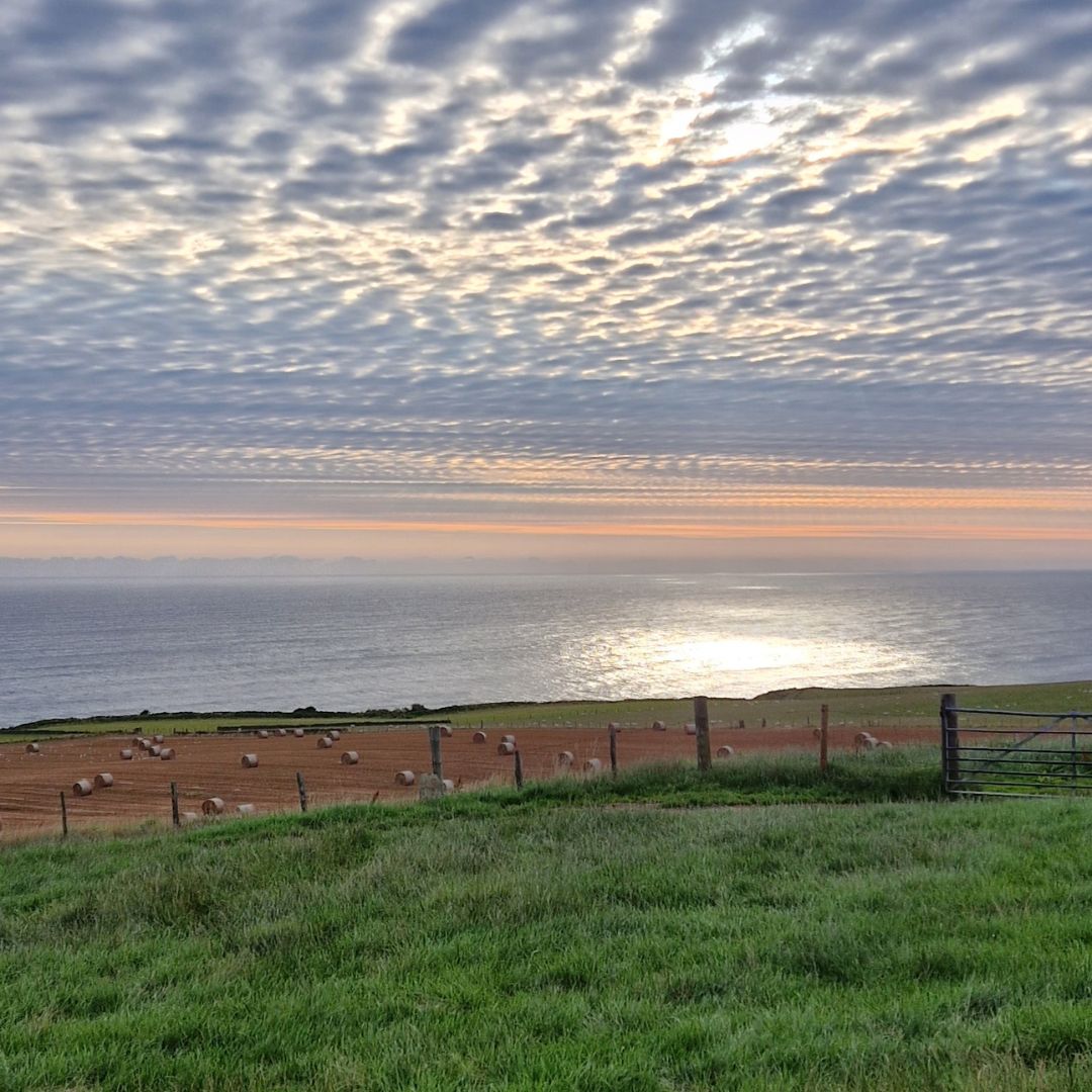 BaytownCoffee's tweet image. Morning beautiful day 🤍

#summer #perfectview #northyorkshire #coast #lovewhereyoulive