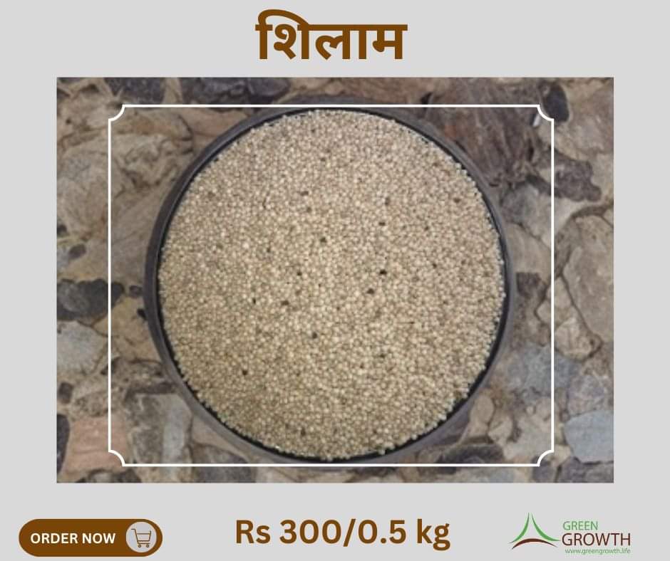 KARESAorg's tweet image. सुगन्धित वनस्पति शिलामको अंग्रेजी वा वैज्ञानिक नाम पेरिल्ला (Perilla) हो। यो मिन्ट ( mint ) परिवारको नेपटियोडी (Nepetoídeae) वर्गमा पर्दछ। यसलाई मूख्य रूपमा अचारको रूपमा प्रयोगमा ल्याइन्छ। 

शिलाम अडर गर्न : 
shorturl.at/gwEX0

#शिलाम #shilam #localproduct #Nepal