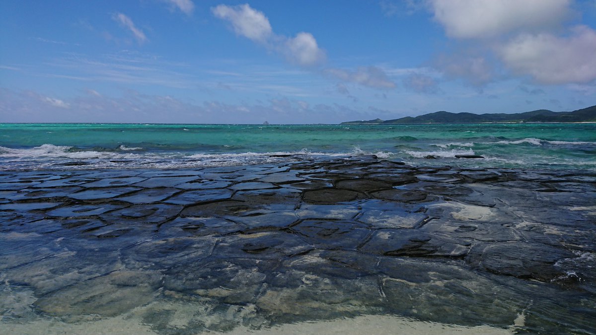 FreediverHD tweet media