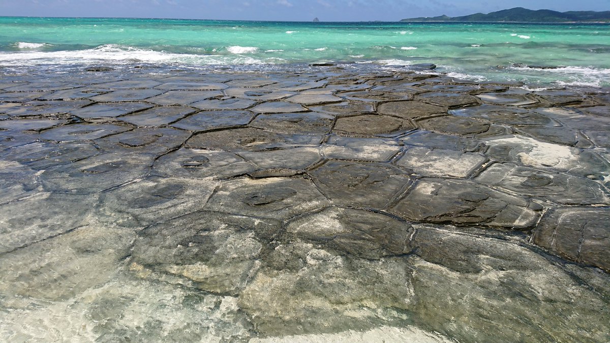 FreediverHD tweet media