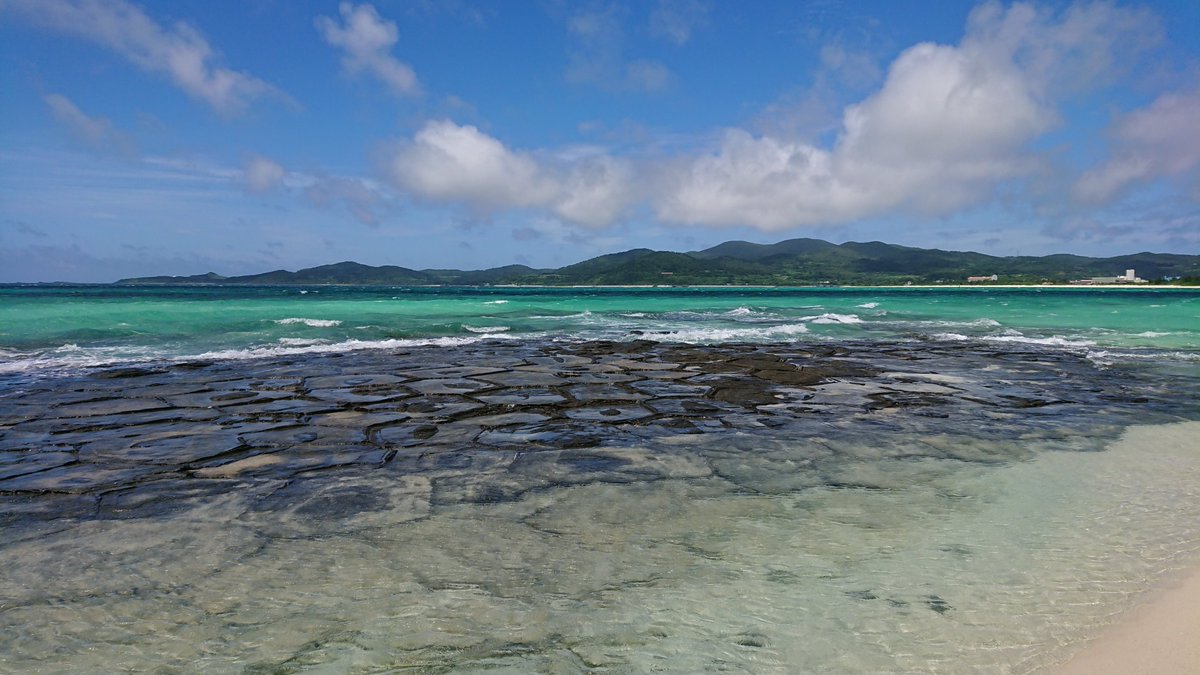 FreediverHD tweet media