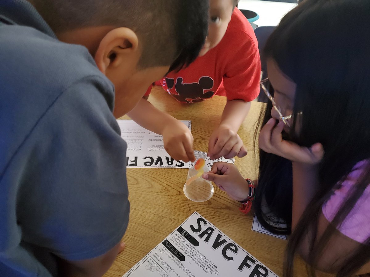 MrsDaysClass1's tweet photo. Collaboration continues on day 2 as we tried to save Fred! #MonaviewMoments #MonaviewontheMap https://t.co/GFAmROH6jb