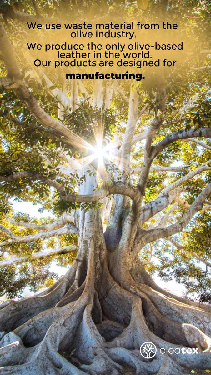 oleatextr's tweet photo. We use waste material from the We produce the only olive-based
 leather in the world. Our products are designed for manufacturing.
 
#oleatex #nextgenmaterial #sustainability #vegan https://t.co/Wo7CGuxoXo