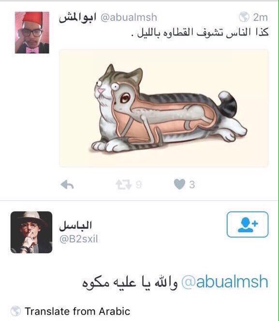 t_donkeys's tweet photo. Old but gold https://t.co/YXCKSWUX2x