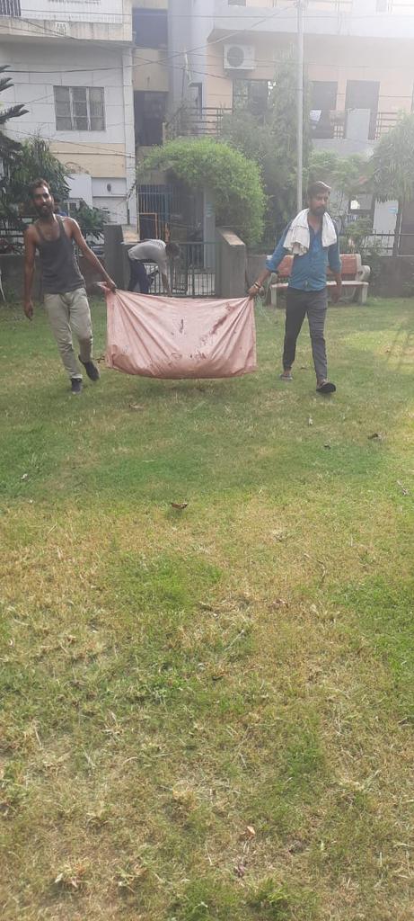aapdimpleahuja's tweet photo. Today did pruning & grass mowing work at C5B Park, Janakpuri.
#C5B #Janakpuri #Ward104 https://t.co/oG0fQ4w0pI