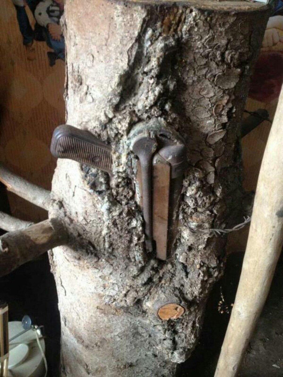 ArmedJ0y's tweet photo. Slavcalibur

He who pulls it from the tree becomes the king of Yugoslavia. https://t.co/UnJnlpC2j4