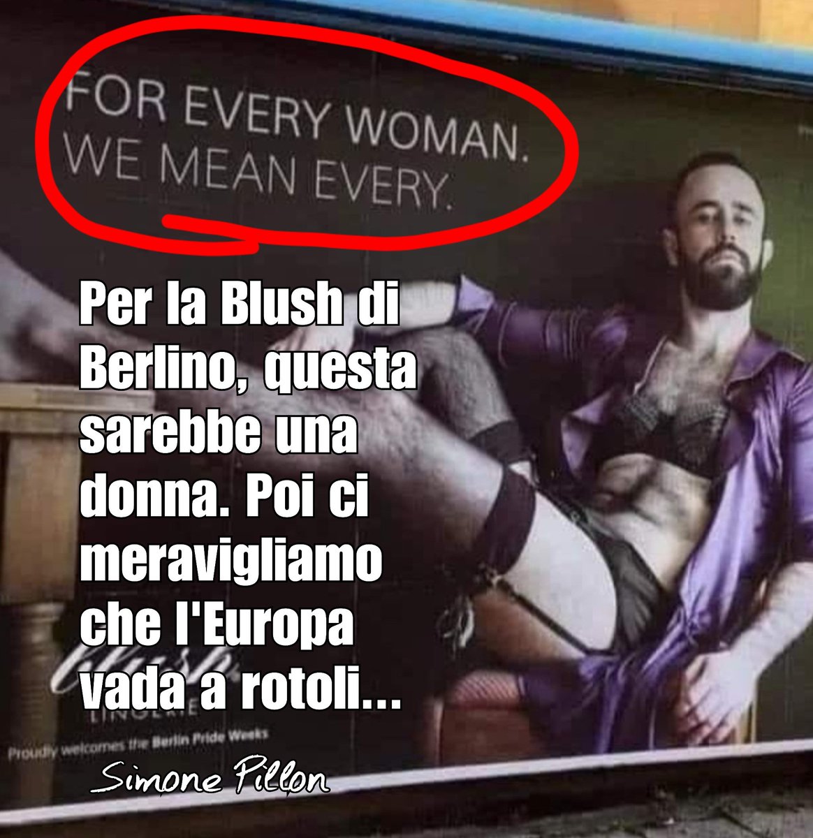 Simone Pillon tweet media