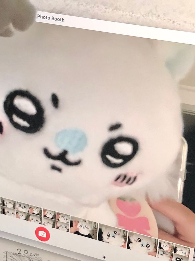 kaya 🐈 tweet media