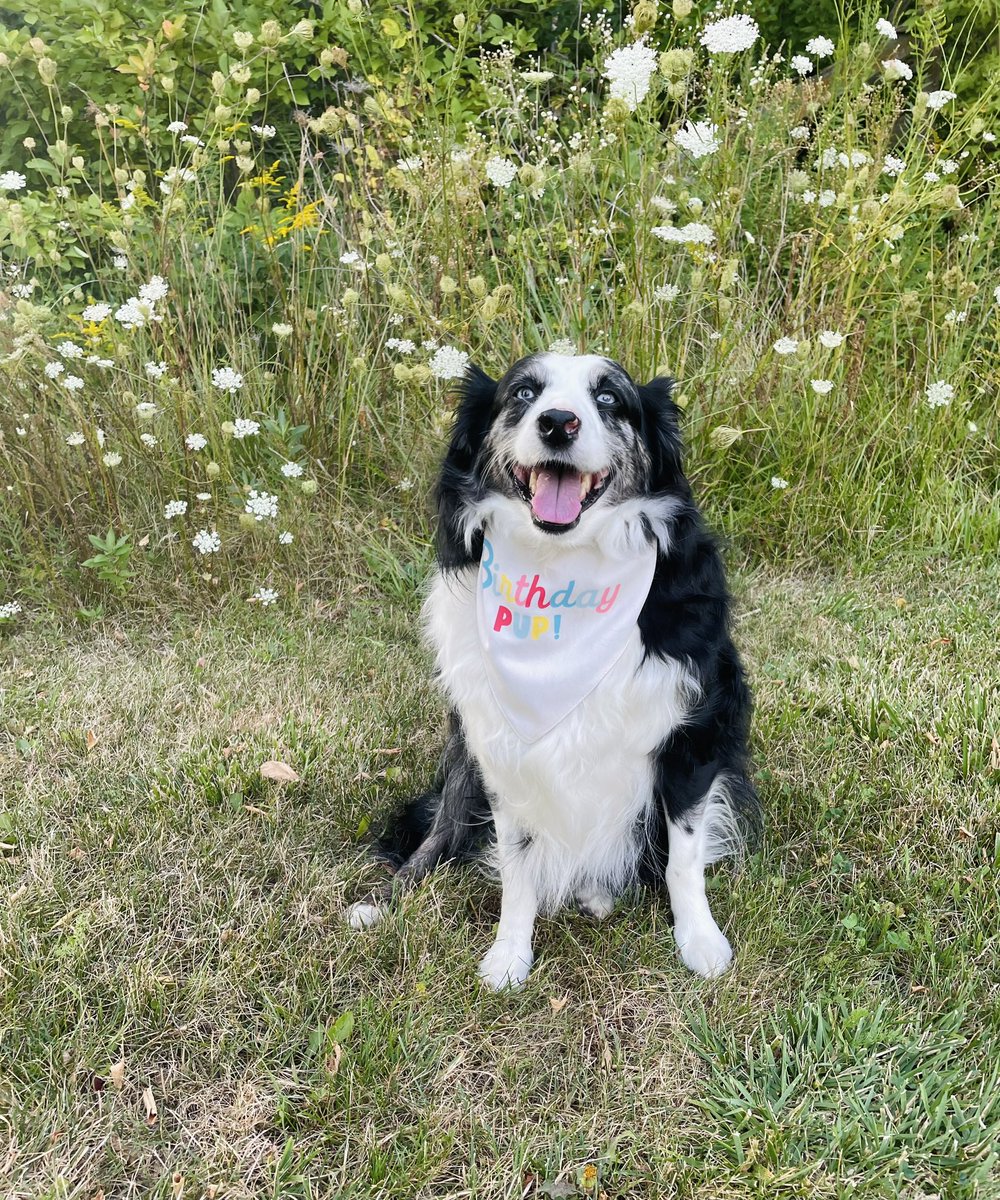KelsBar's tweet photo. Yesterday Sky boy turned 9. 💙 https://t.co/kOwKdzTRJv