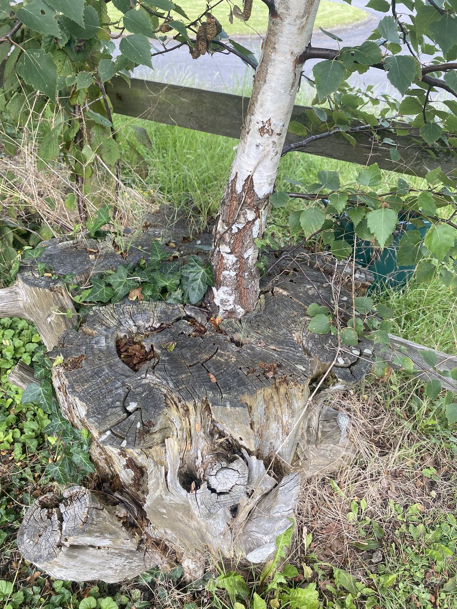 Nigel Payne tweet media