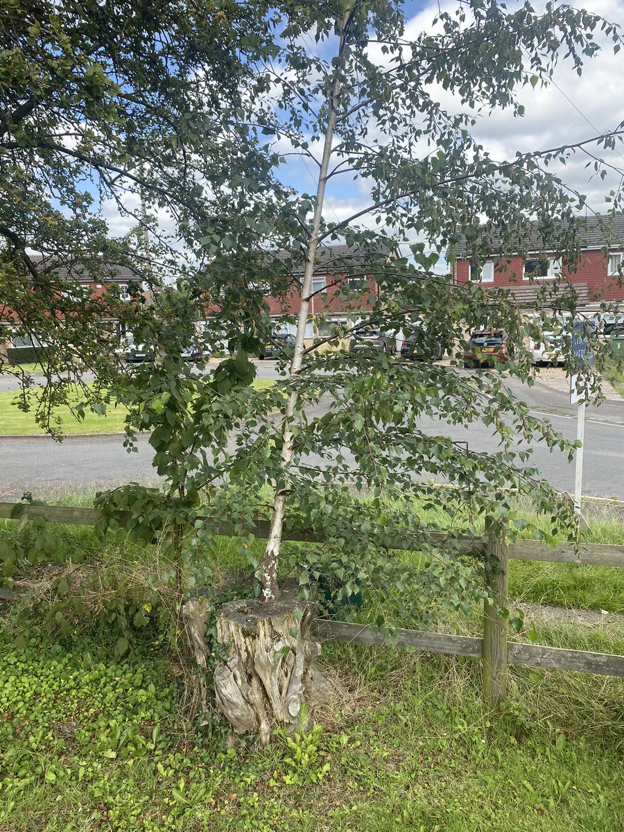 Nigel Payne tweet media