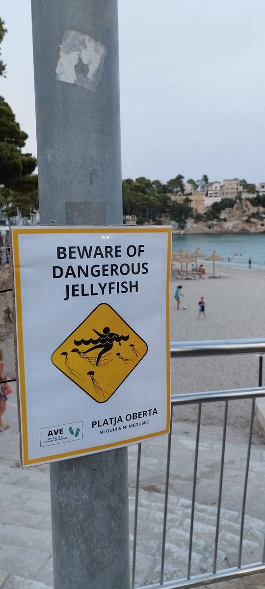 Caterva_mnc's tweet photo. Aquests dies hem dut a terme una acció de denúncia contra la #massificació turística a les cales de #Manacor. Amb una mica d’humor, hem penjat uns quants cartells que podeu veure a les fotos. Des de Cala Morlanda fins a Cala Bota https://t.co/zy1abLDbwV