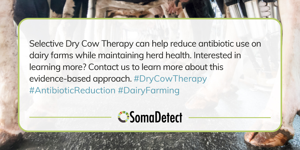 🐄🌱 Discover the Power of Selective Dry Cow Therapy! Reduce Antibiotic Use, Optimize Herd Health. 🚀💊

Say goodbye to unnecessary antibiotics! With SDCT, you can ensure a more sustainable &amp; responsible approach to cow health management.

mtr.cool/kjnveffiva

#DryCowTherapy