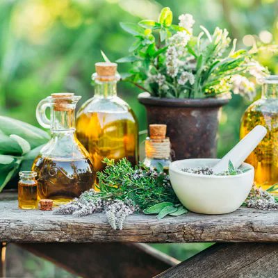 karimanesr's tweet photo. Plantas Medicinales 🌿🪻 🌸🧄🌻🌱🪴🍃

Albahaca: alivia bronquitis, catarro e inflamación de garganta.
Lavanda: efecto calmante, relajante, antioxidante y facilita el sueño.
Romero: eficaz para la caída del cabello, dolor premenstrual y digestivo.
Salvia: reduce el dolor muscular, alivia el sistema digestivo y ayuda a la cicatrización.
Ajo: excelente antibiótico natural, anticoagulante y antioxidante.
Orégano: ayuda al dolor de muelas, bronquitis, dolor de oído y dolor de cabeza.
Tomillo: eficaz antiséptico, antiinflamatorio y reduce la ansiedad.
Menta: es digestiva, calma el dolor intestinal, regula el vómito y las náuseas.