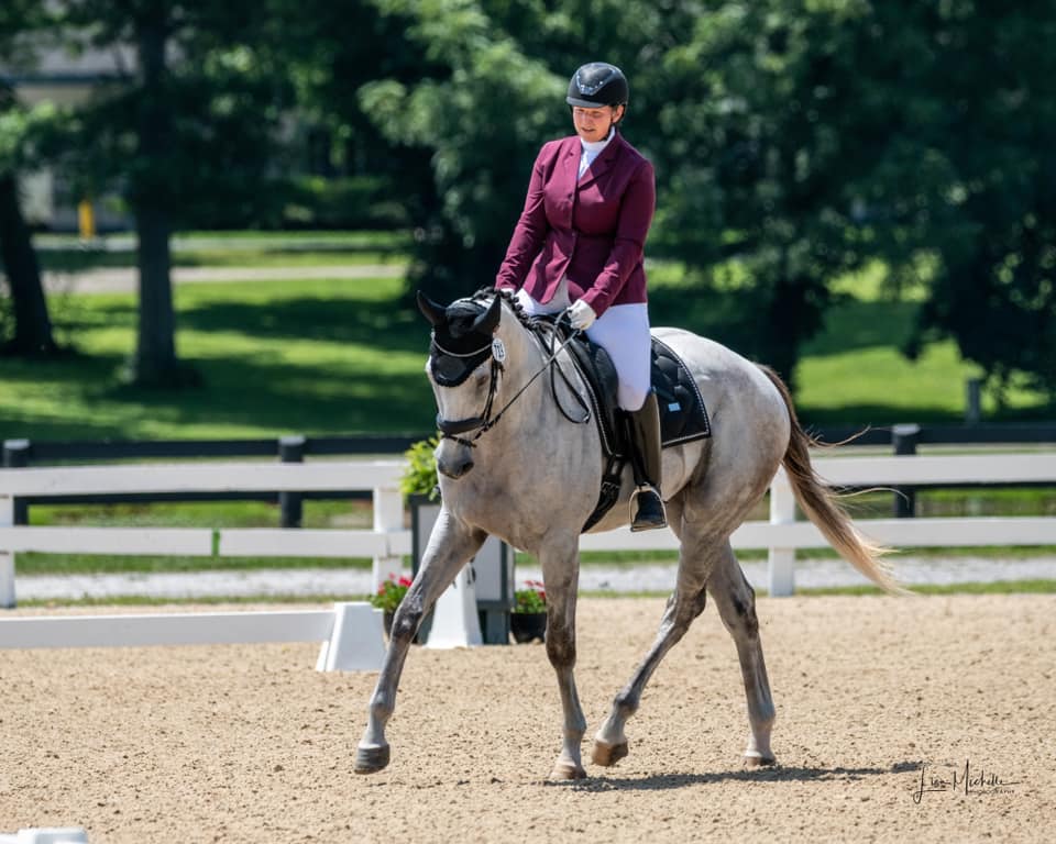 RRP_TBMakeover's tweet photo. Silver Spur (Anchor Down) and Nicole Dlugosz are in fine form in their latest prep show! This @NewVocations adoptee sold for $270,000 as a 2yo, but never broke his maiden in 6 starts and now prepares for Dressage at the 2023 #TBMakeover. https://t.co/uV2lsgfrQh