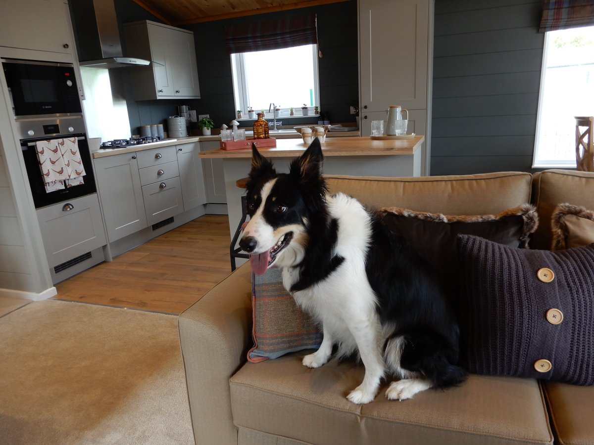 Now this is a pawfect way to end a week! 🐾
Meet the gorgeous Barney who did a full inspection of the perfect spot to relax in! Can you guess which lodge he chose to be his favourite? 
#WearePrestige #LuxuryLiving #CutenessOverload