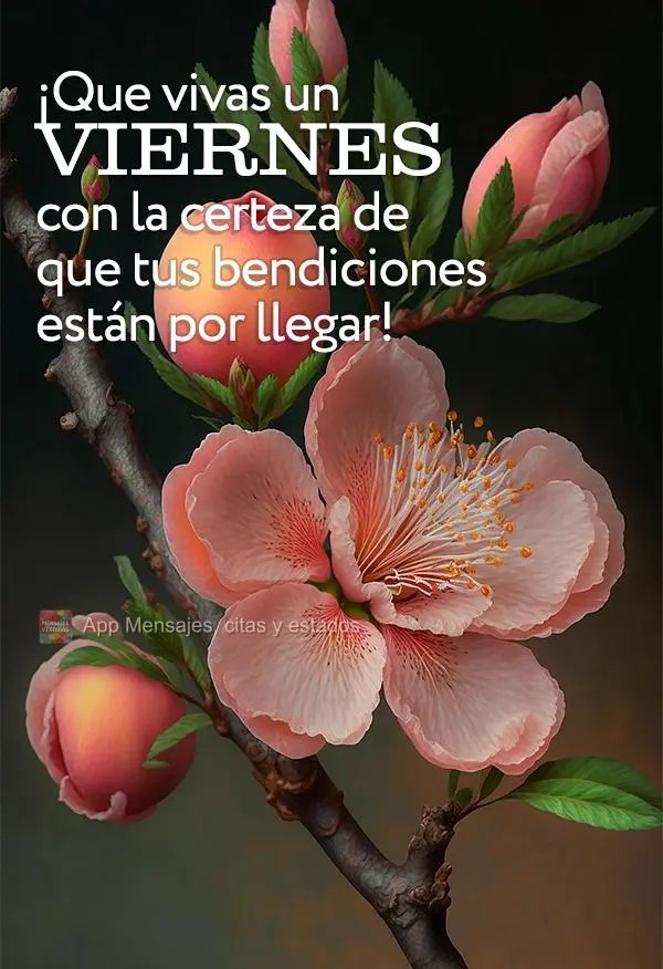 ¡Que vivas un viernes con la certeza de que tus bendiciones están por llegar!
<a href="/GinezYuraima/">Yuraima Ginez</a> <a href="/MiGirasol9/">GIRASOL9🌻🍀💕</a> <a href="/dairelysm20/">Dairelys Molina</a> <a href="/LL78913/">LL789</a> 

#LaPazEsClave
